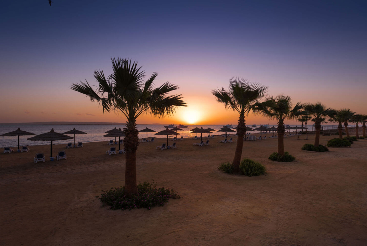 the view hurghada